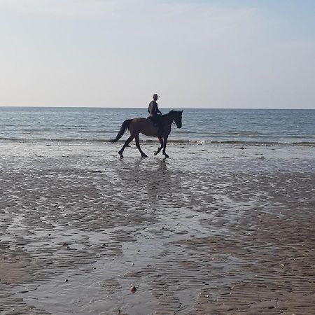 Les Gites Equestre De Ninon Moult 外观 照片